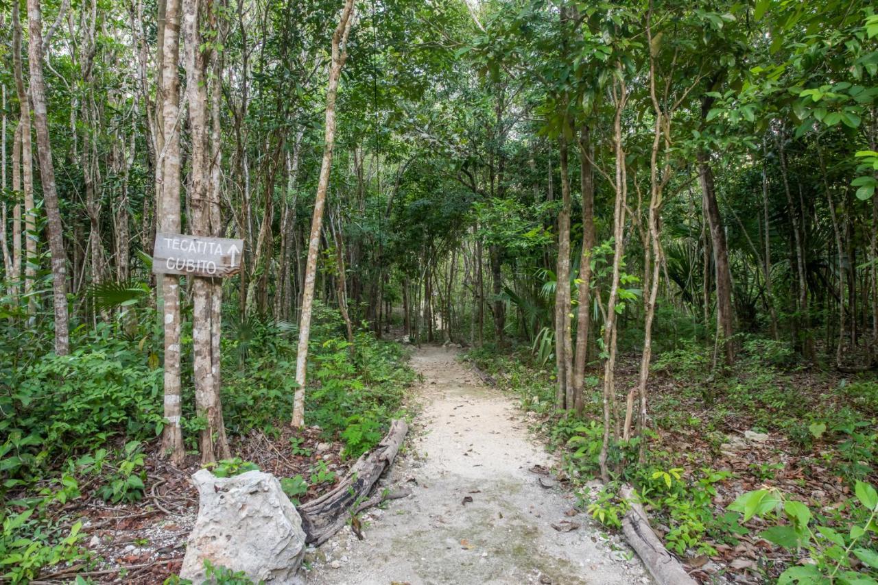 Casa Costal - Glamping Experience Ξενοδοχείο Puerto Morelos Εξωτερικό φωτογραφία