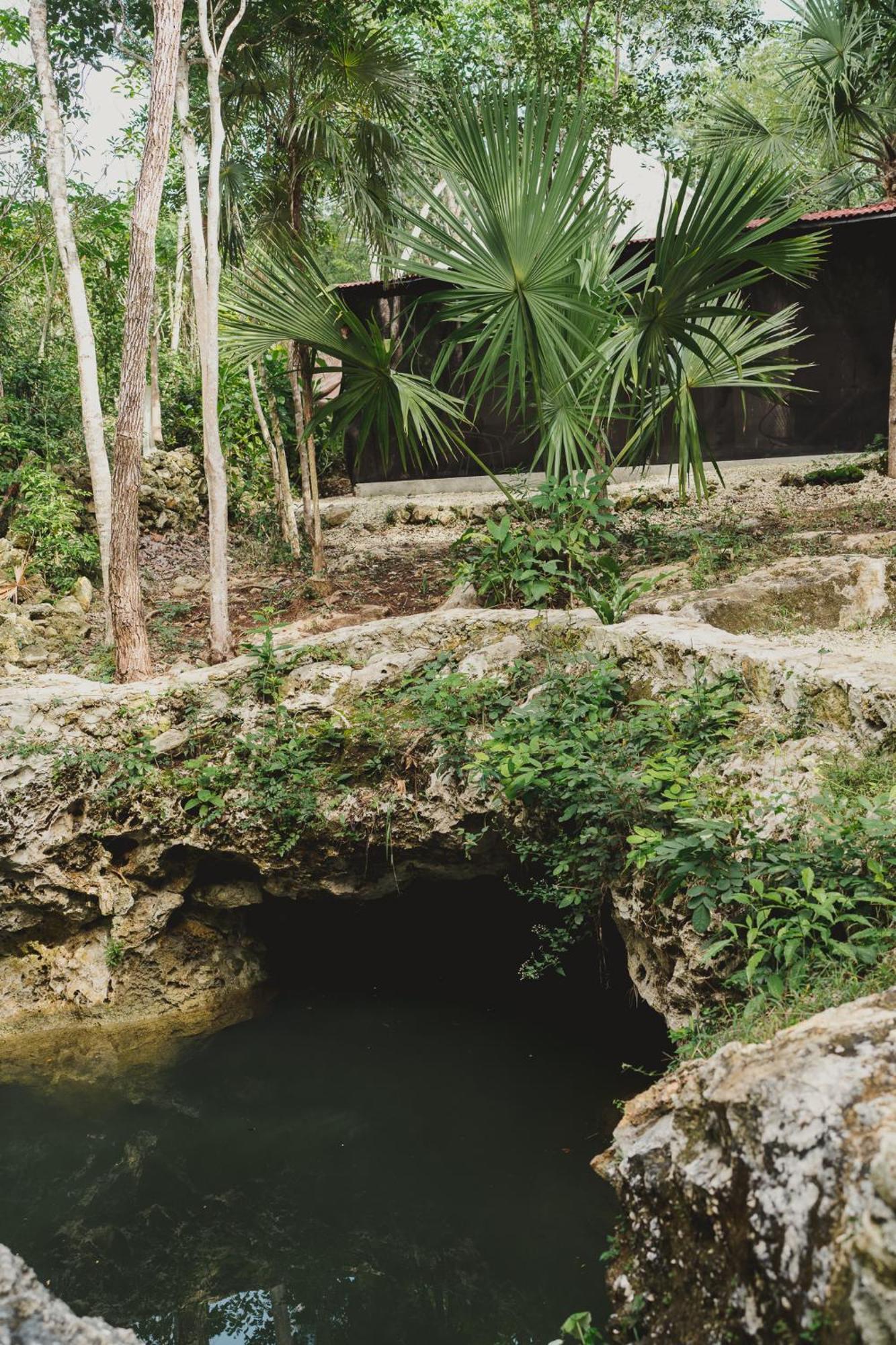 Casa Costal - Glamping Experience Ξενοδοχείο Puerto Morelos Δωμάτιο φωτογραφία